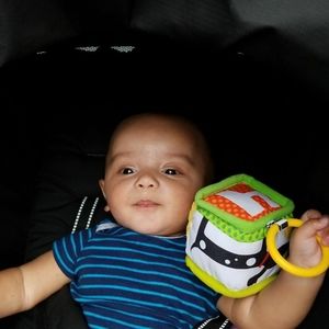 Meet your Posher, Zulma